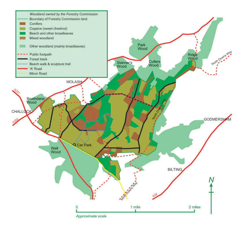 Forestry compartments map