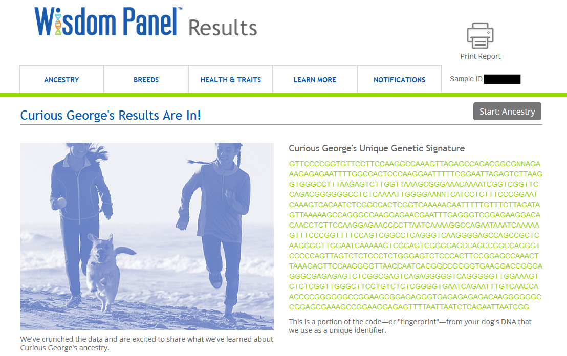 wisdom panel website