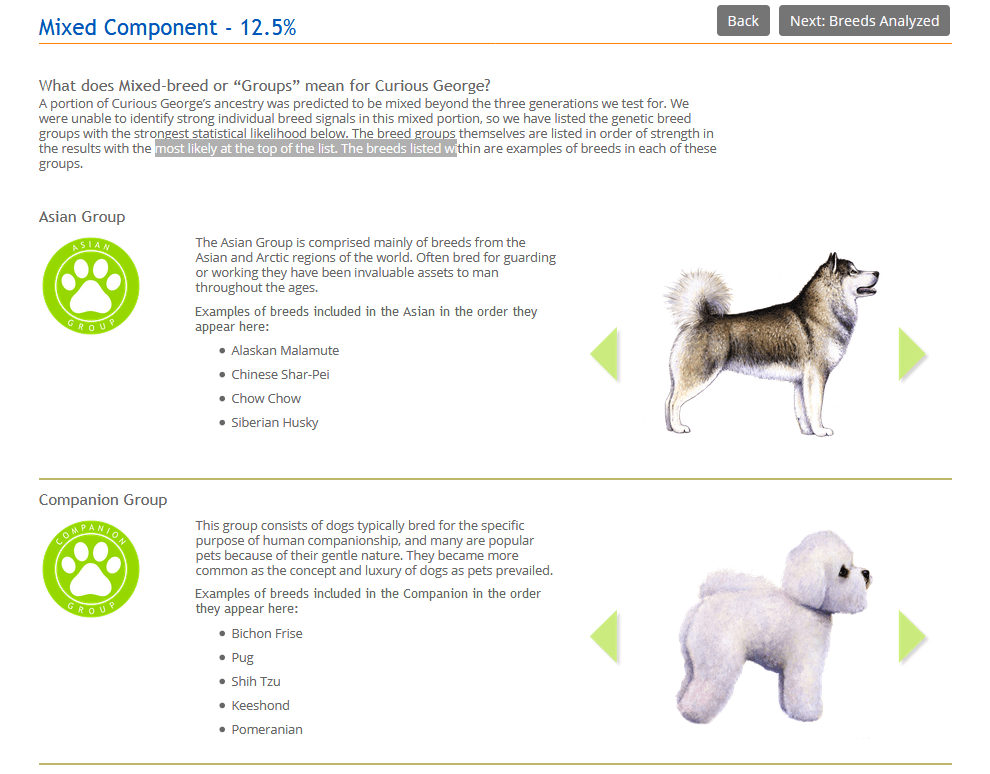 climbing frames for cats