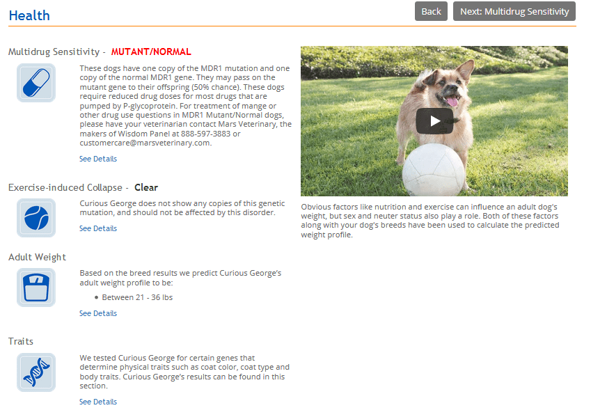 wisdom panel petsmart