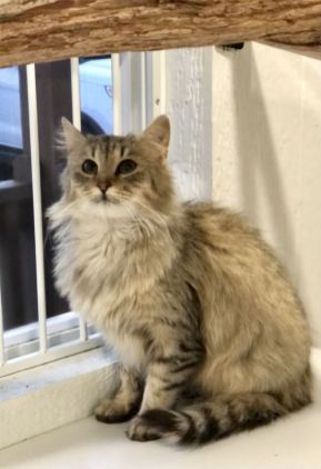 B Haley dhs cmyk Haley