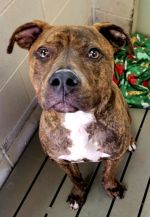 B Twix mcacc cmyk Twix