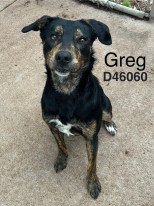 Greg