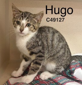 Hugo