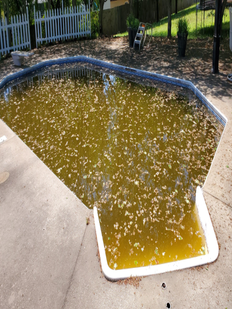 Clarksville athletic club · 220 athletic ave. Pool Opening Closing In Clarksville Tn Clarksville Pool And Leisure