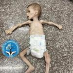 signal-2024-07-10-134640_002