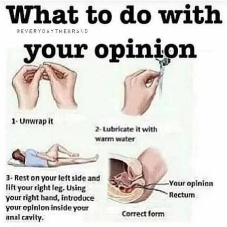 opinion