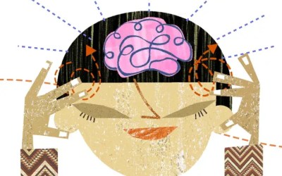The Neuroscience Behind Student Success