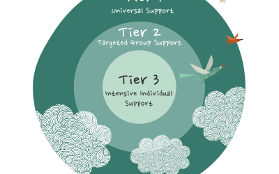 A Guide To Class Catalyst Data & MTSS Support