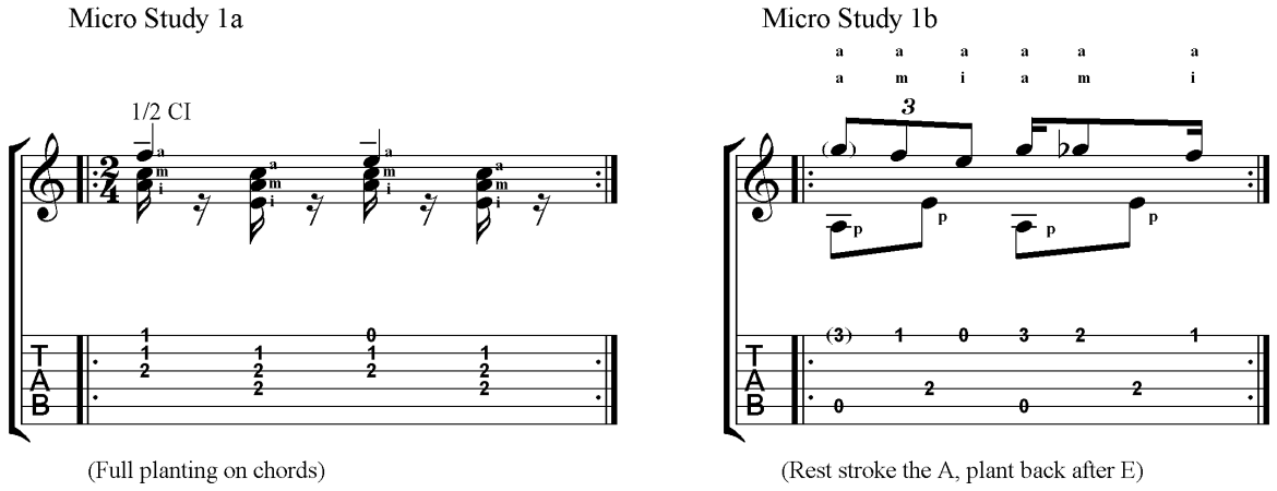 Micro Study 1
