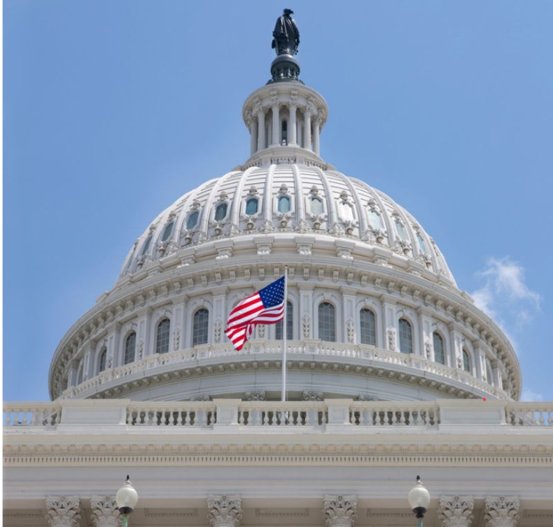 Blog Classical Learner - Premium Nature Illustration Gallery - Retina