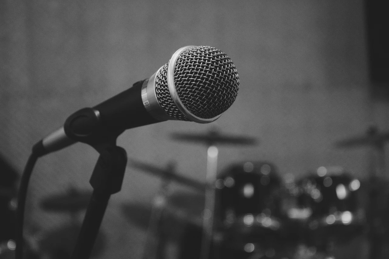 Microphone for an interview