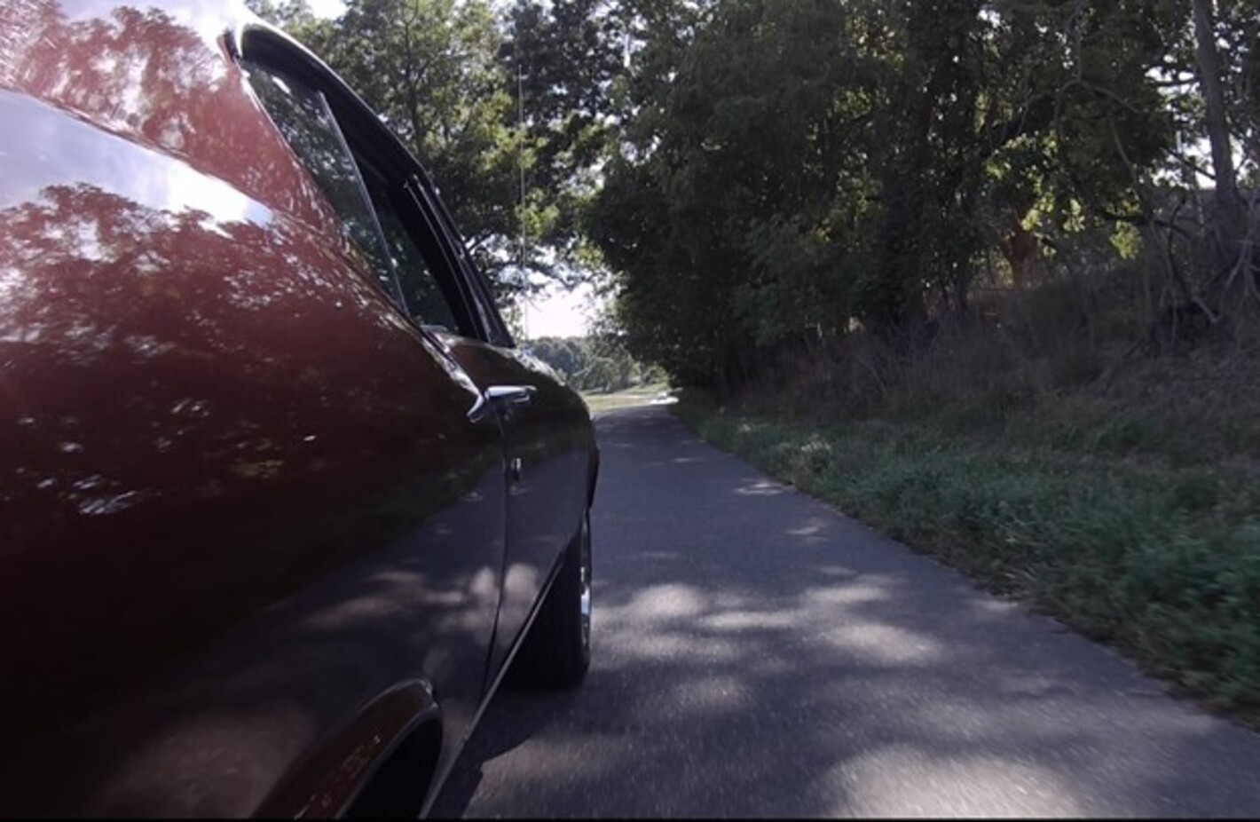 Chevrolet Chevelle driving on a tree lined road