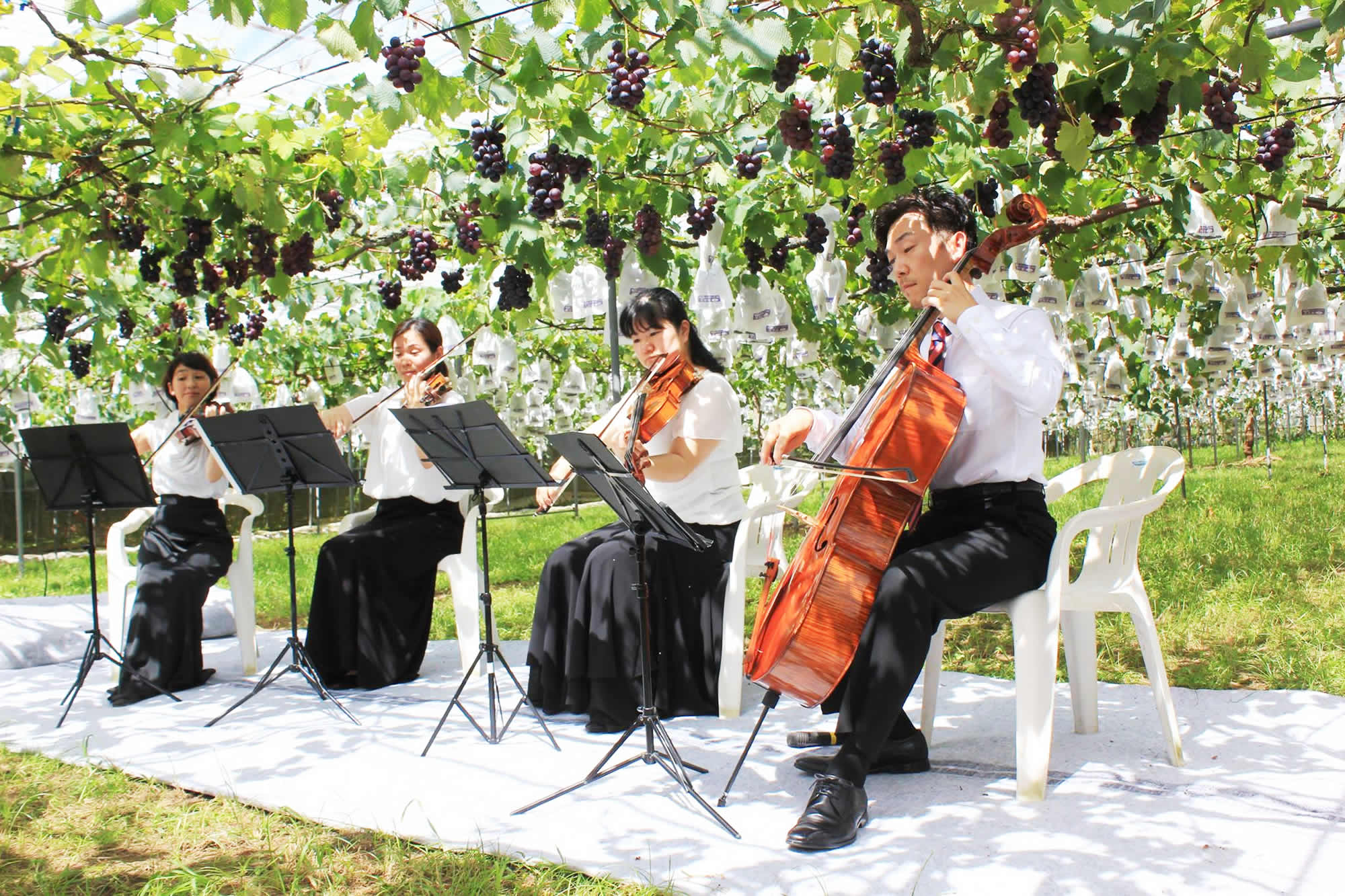 浜田農園のご紹介の外観