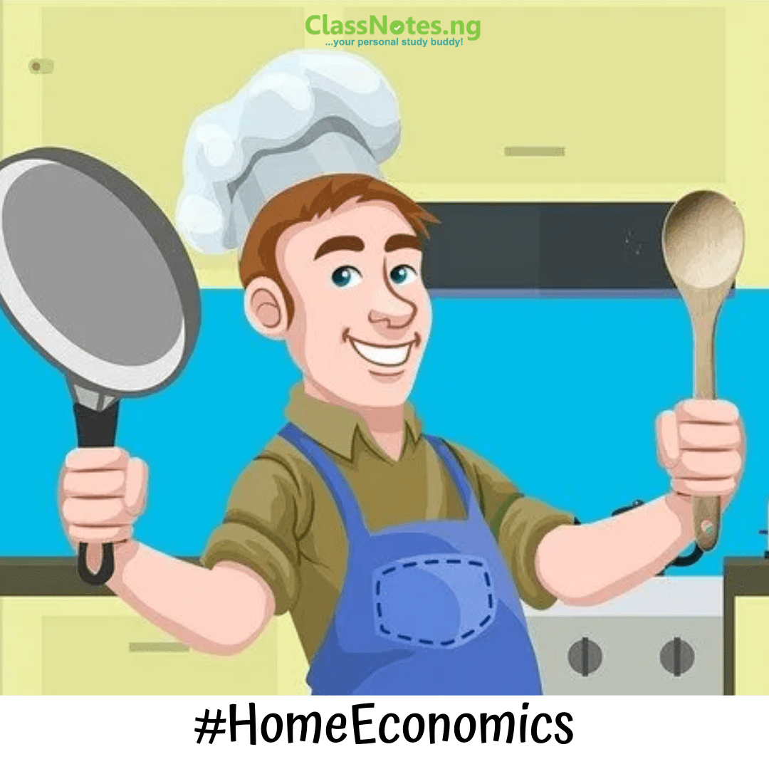 Home Economics Primary 5 ClassNotes.ng