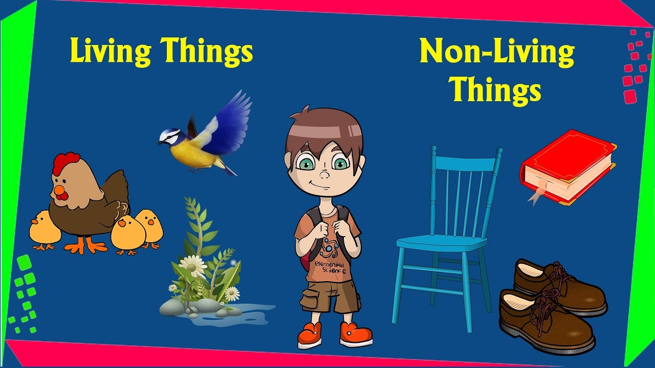 living-and-non-living-things-ii-classnotes-ng