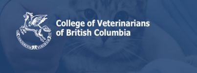 Cvbc Students Linktree - Download Amazing Ocean Illustration | Mobile