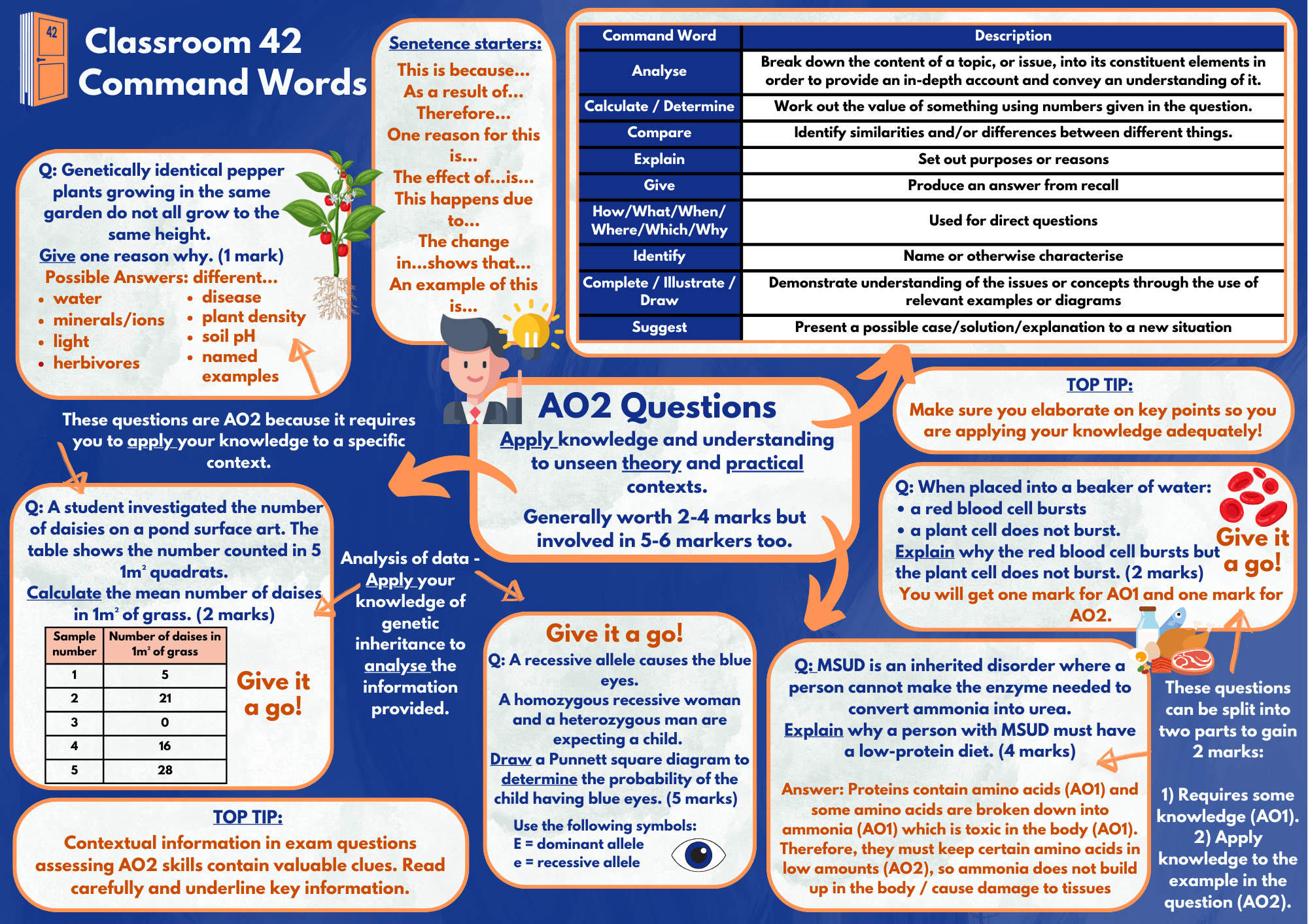 AO2 GCSE Biology Command Words