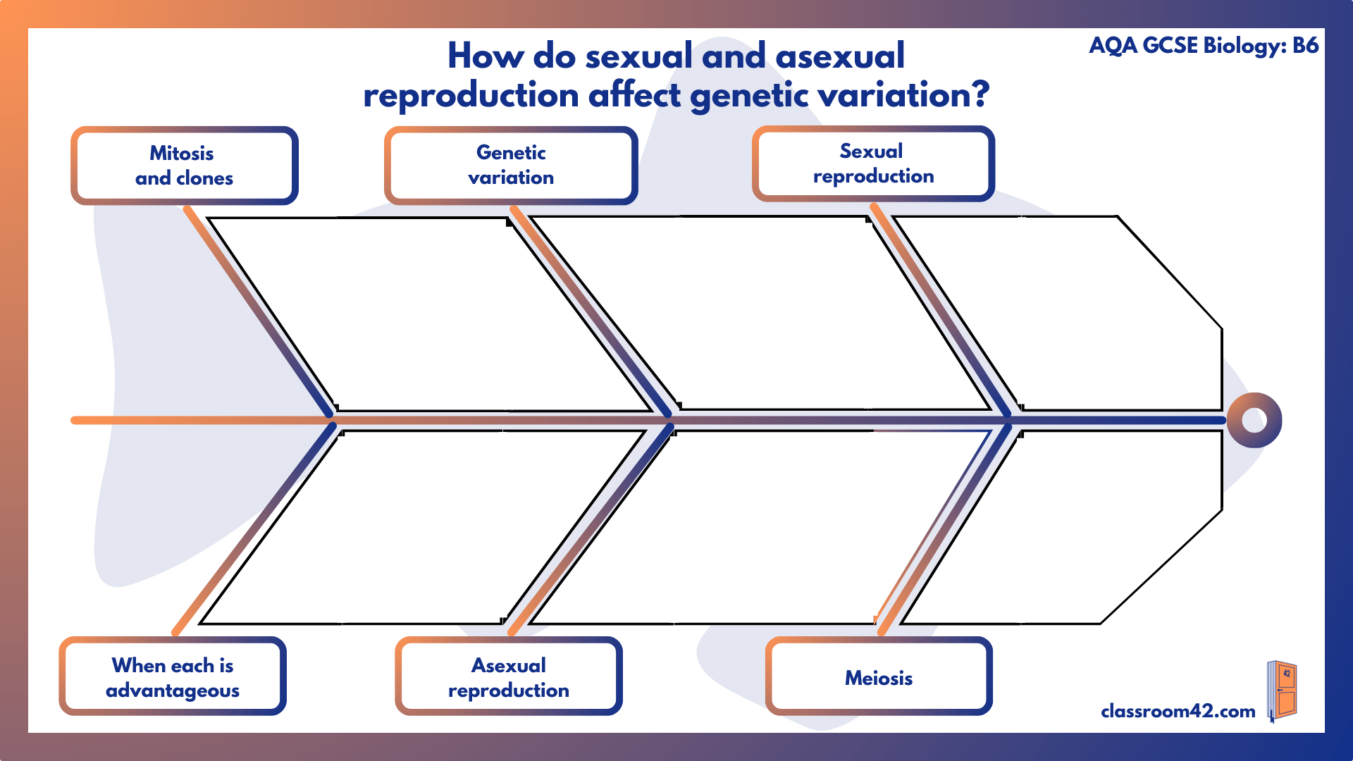 Fishbone Revision Sheets: B6