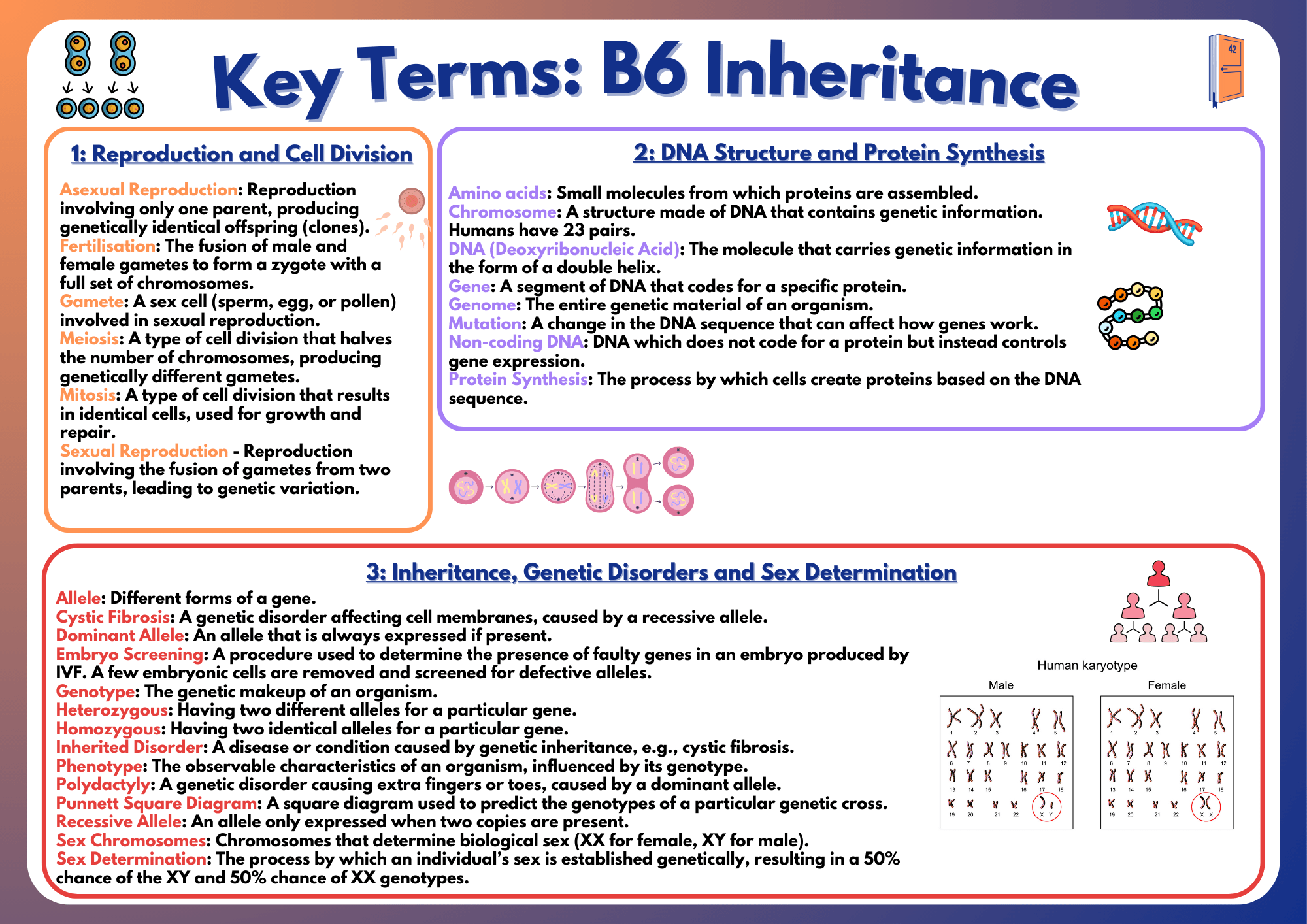 AQA GCSE Biology Key Terms: B1 Part 1 (FT)
