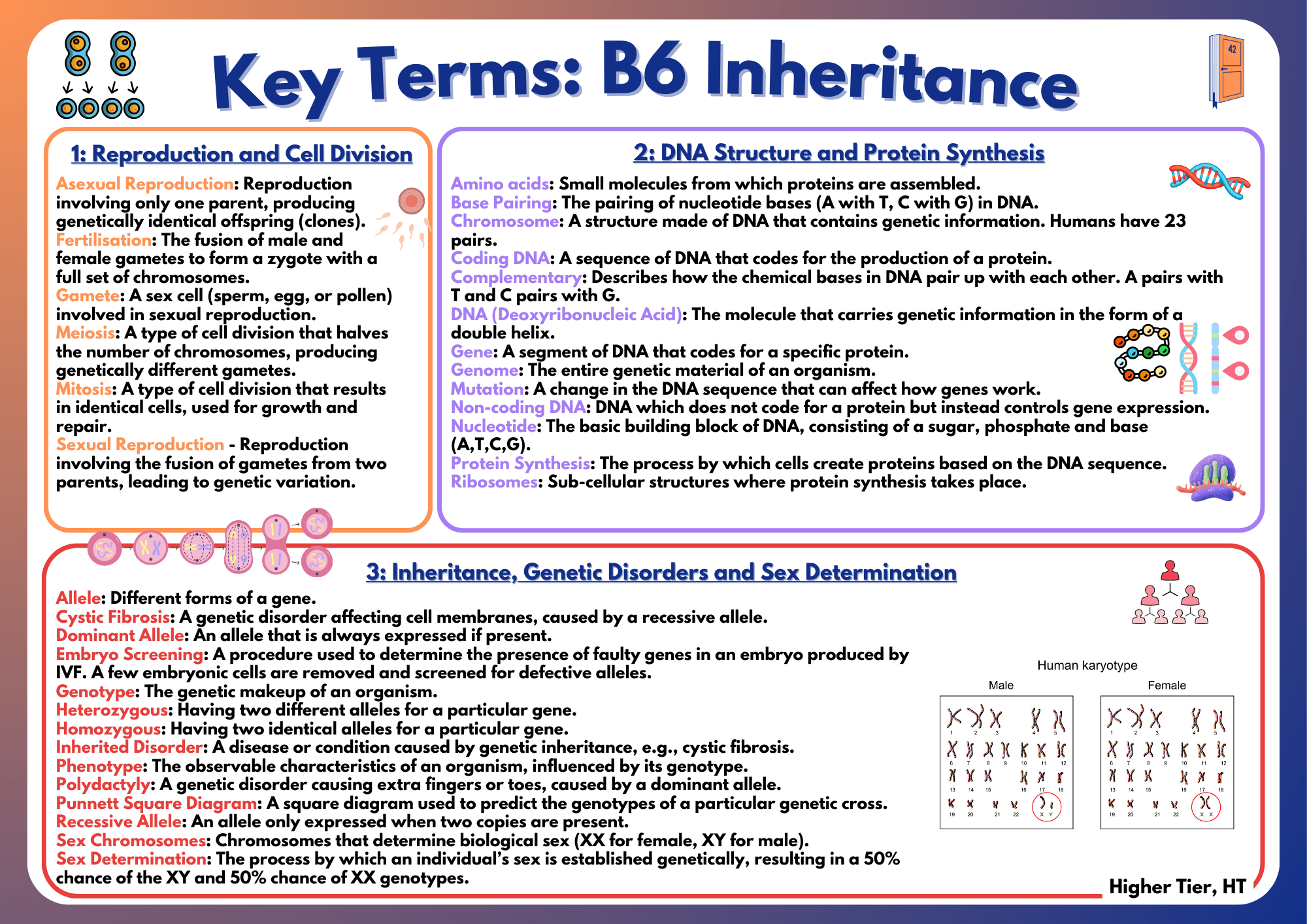 AQA GCSE Biology Key Terms: B6 Part 1 (Triple, HT)