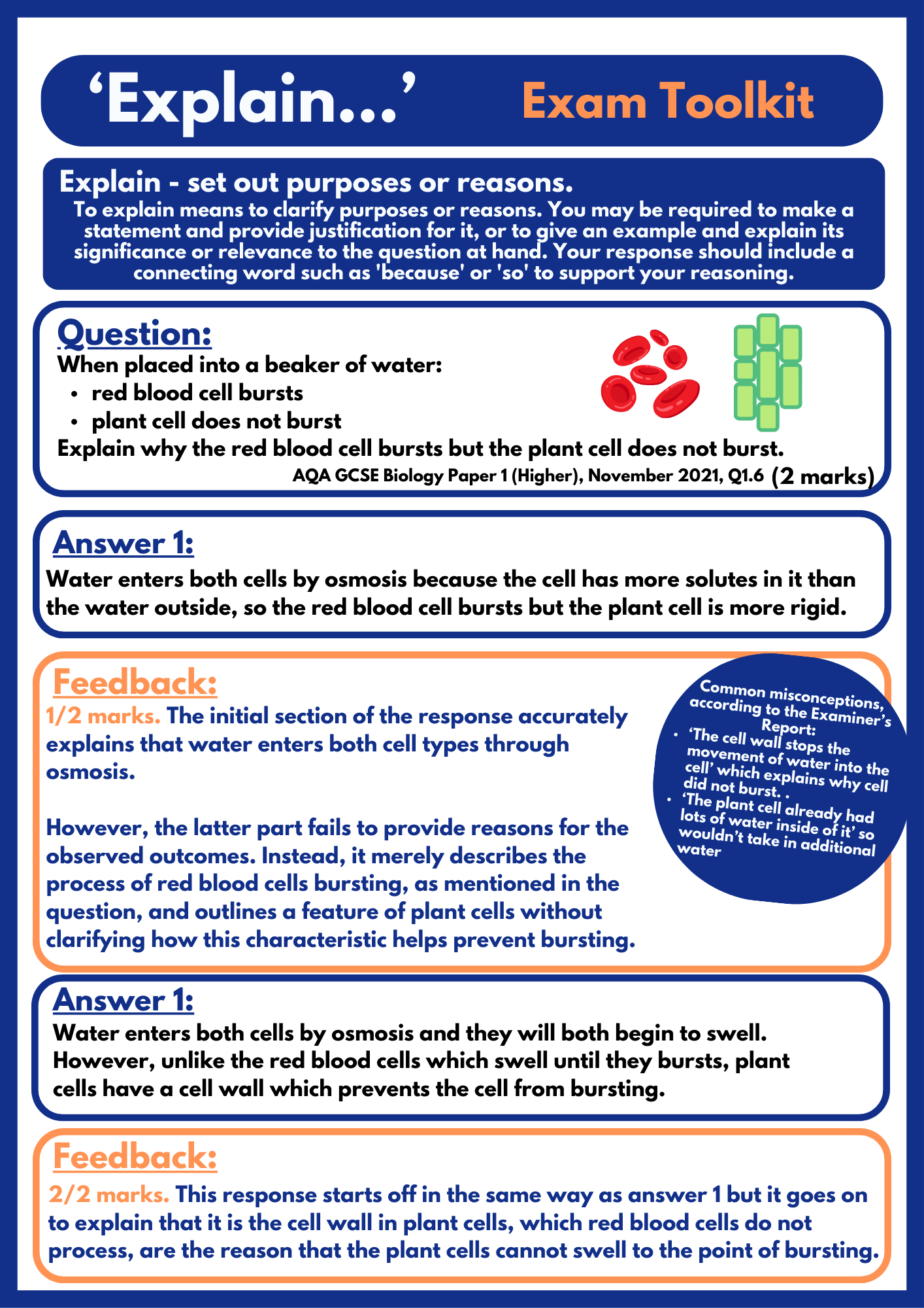 ‘Explain’ Worksheet