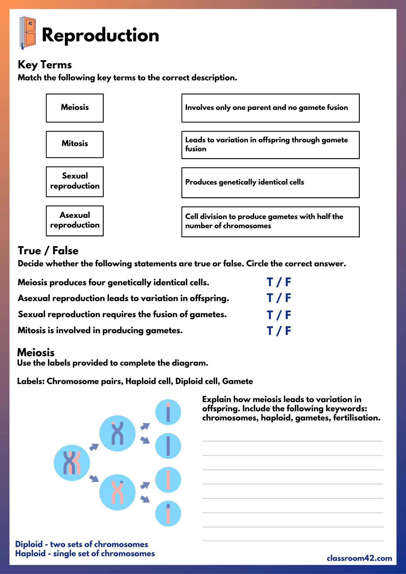 ‘Reproduction’ Worksheet