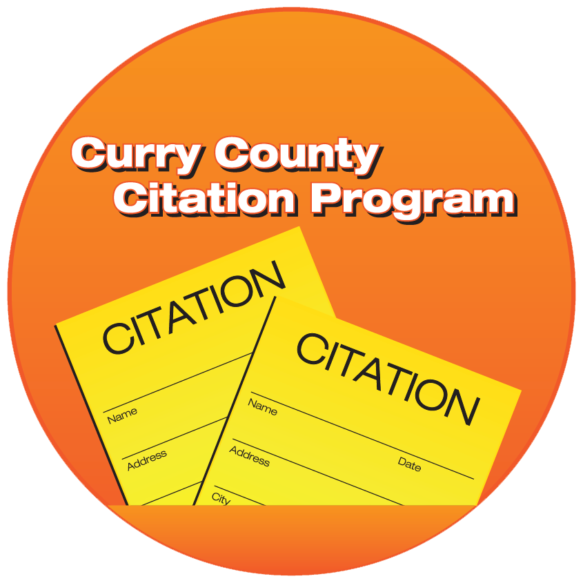 CitationProgram_logo