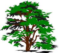 tree-vector
