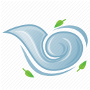 wind
