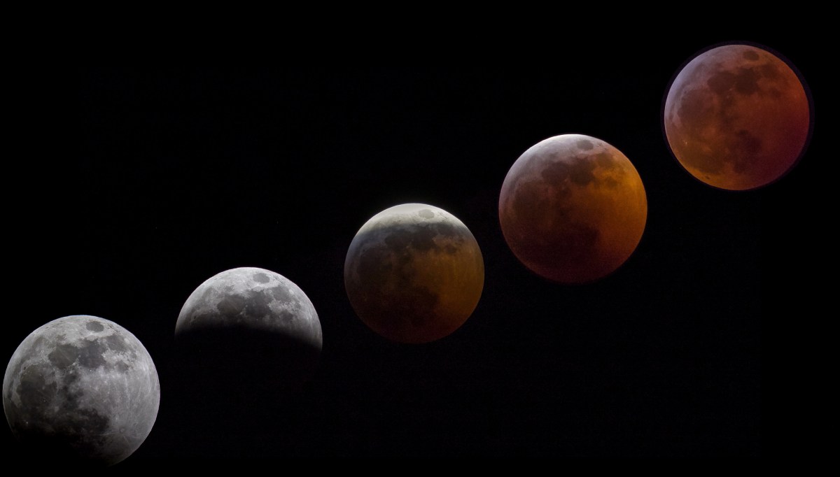 Fotografía de Eric Zhou de las distintas fases de la luna en un eclipse total lunar.
