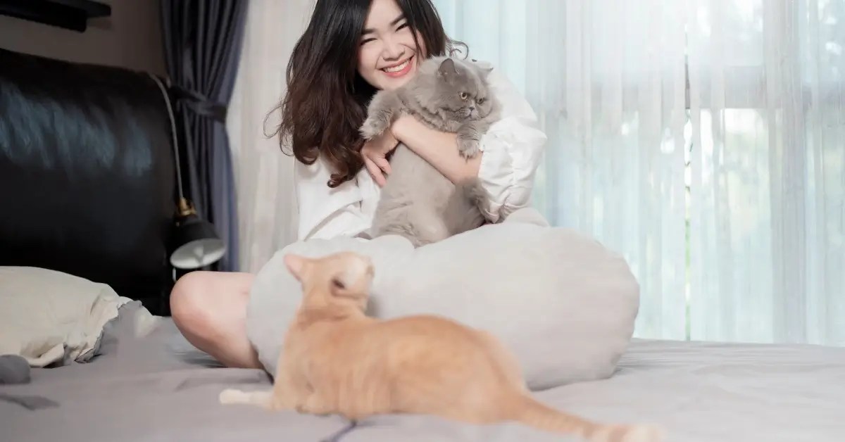 Cats can help with boosting your immunity.