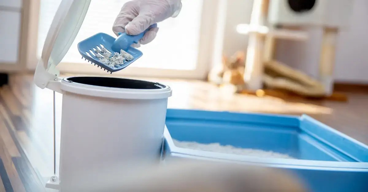 A cat owner scooping out clumps of dirty litter.