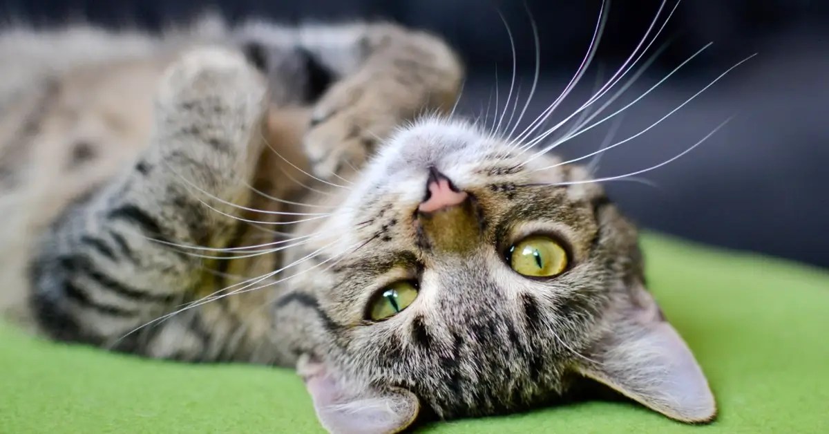 To Conclude: Why These Questions Matter