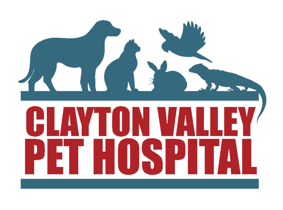 our team - clayton valley pet hospital clayton valley pet hospital on alameda pet hospital yelp