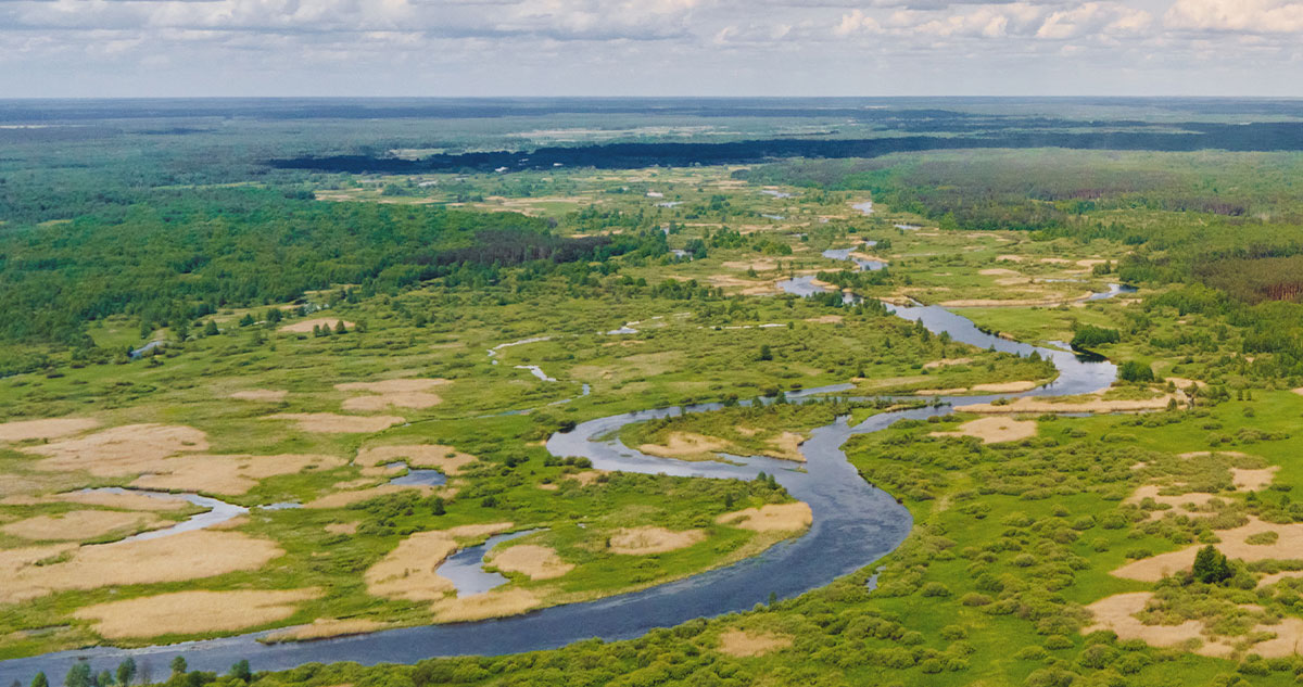 Conservation Programs