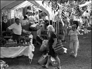 Of Comfort Food, Cheese and Chefs