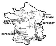 Deciphering French Whites