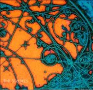 CD Disc-overies