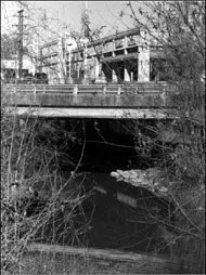 The Little Creek That Could