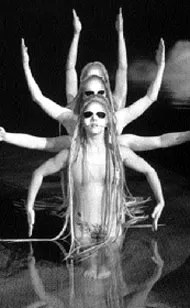 My Great Western Adventure