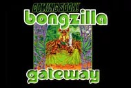 CD Disc-overies