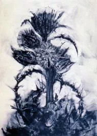 It’s All In The Fine Print