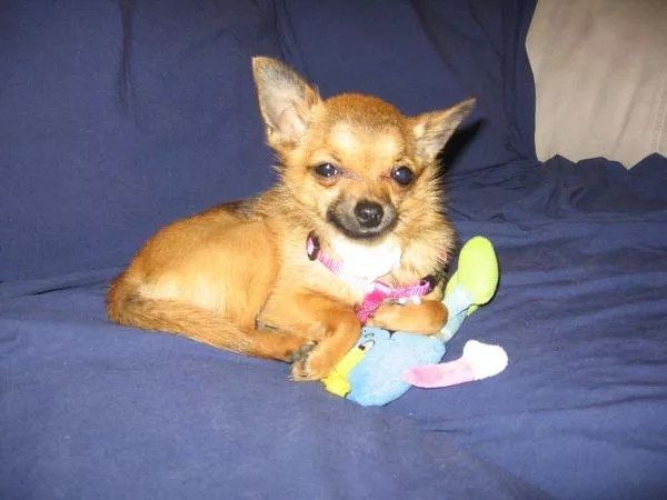 roxy.jpg