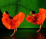 Weekender, Feb. 25-27