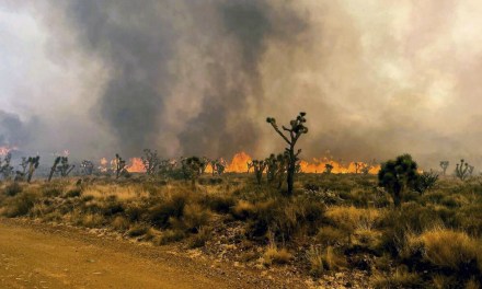 California York Fire Threatens Joshua Tree With Firenadoes