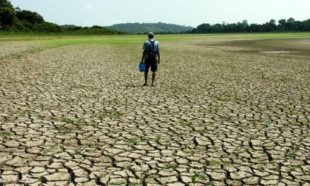 Amazon Rainforest Drought Driven by Climate Change, Study Reveals