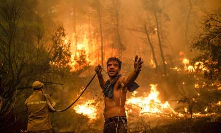 Wildfires in Colombia Threatening the World’s Biodiversity