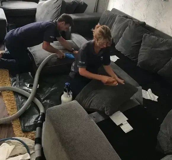 Carpert cleaning family