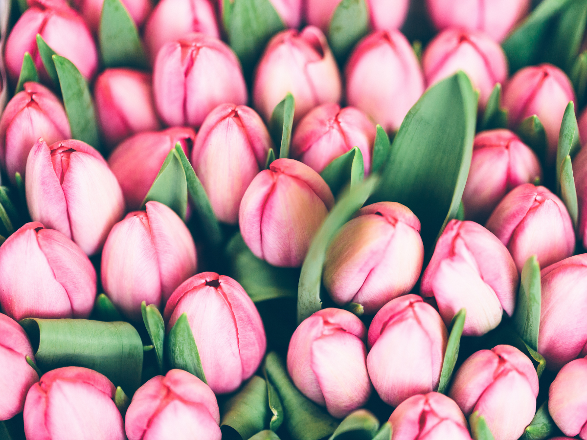 Simple Gifts for Mom for Mother’s Day 2022